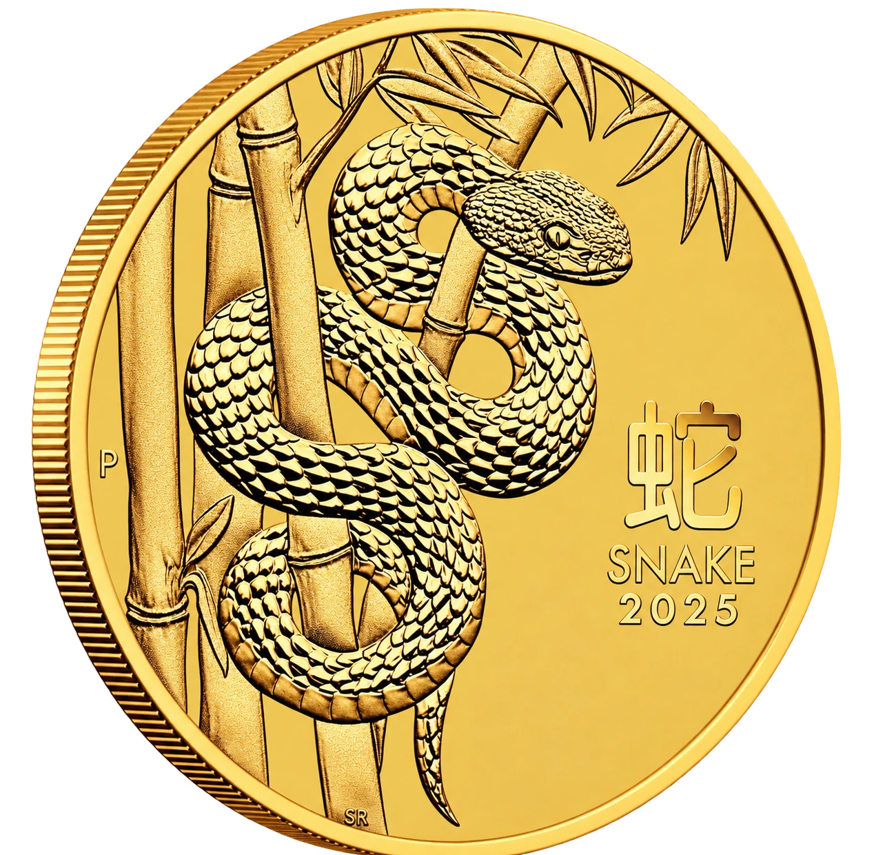 1/2 oz Lunar III Snake Gold Coin | 2025 - image 1