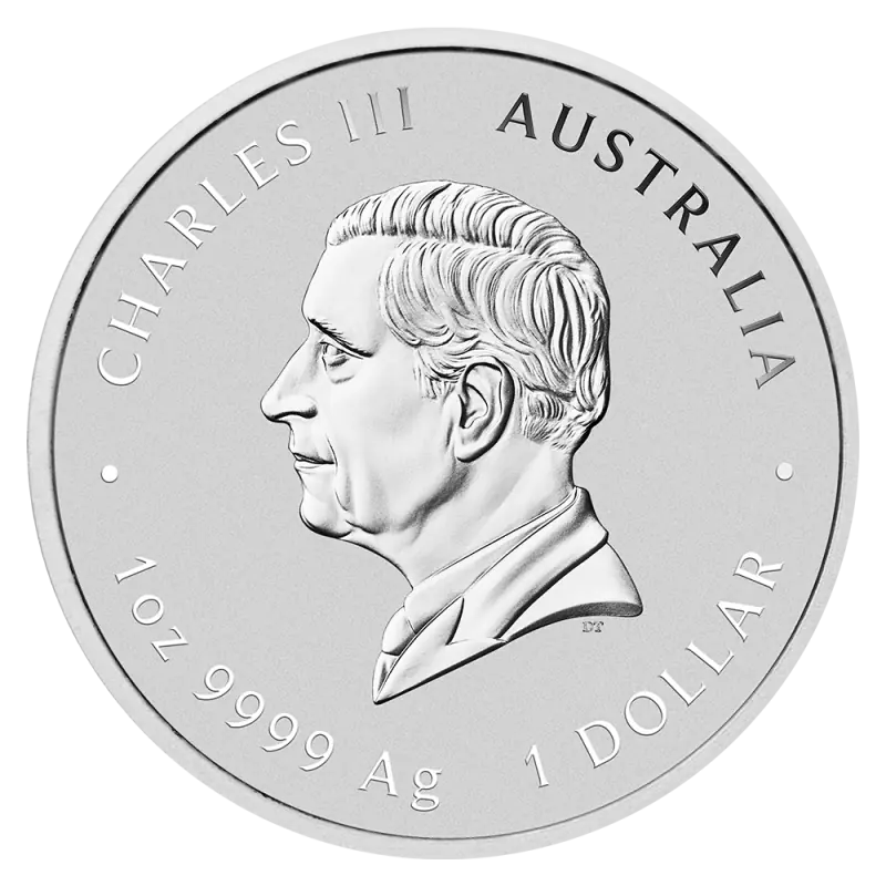 5 oz Lunar III Hobuseaasta Hõbemünt | 2026 - pilt 2