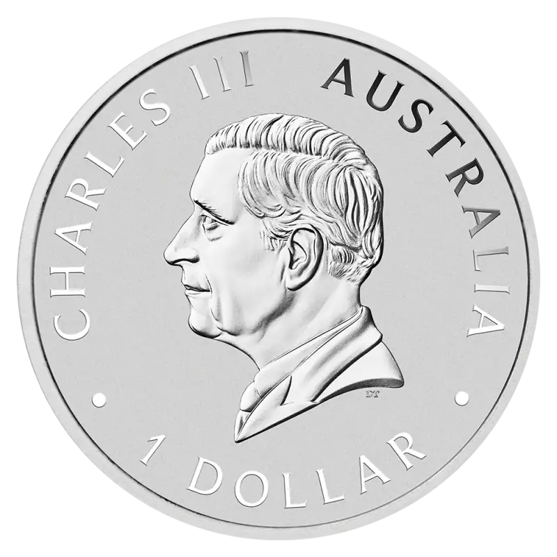 1 oz Australian Koala Silver Coin | 2026 - pilt 2